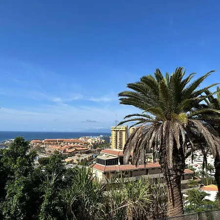 Cristianos, Vistas 1